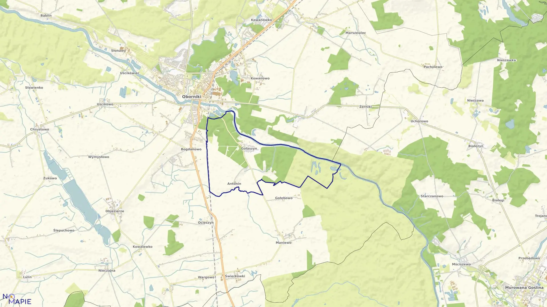 Mapa obrębu GOŁASZYN w gminie Oborniki